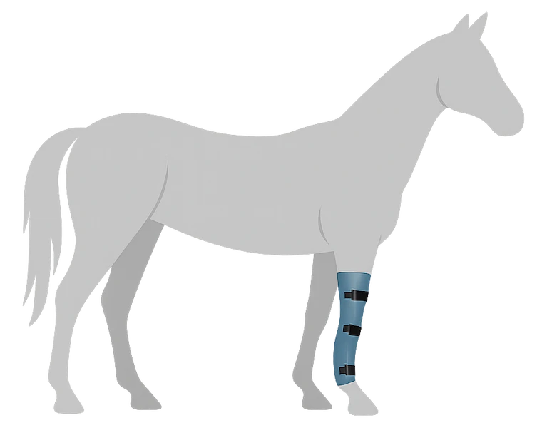 Orthèse d’immobilisation pour animaux – stabilisation après blessure