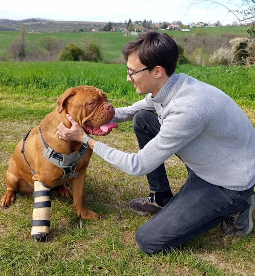 Prothésiste animalier - essai d'une prothèse pour chien - OPA SUD