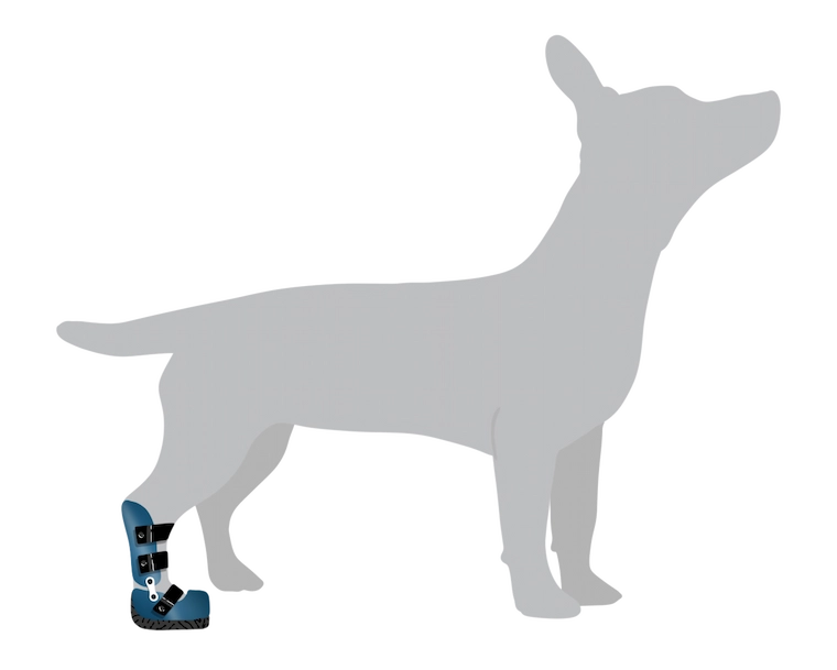 Orthèse de décharge pour chien – soulage les douleurs et réduit les appuis